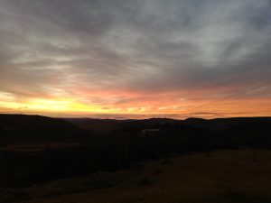 Read more about the article My second post